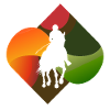 Dressage Riding Club Rider