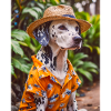Dalmatinisches Hawaiihemd Urlaub