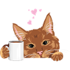 Spähende süße Ingwerkatze mit Kaffeetasse