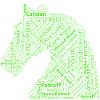 Chess Openings