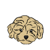 maman doodle