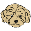 Doodle Puppy Head