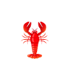 Crawfish Gifts