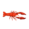 Crawfish Gifts