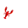 Crawfish Gifts
