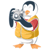 Penguin Photographer with Camera