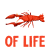 Crawfish Gifts