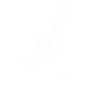 Pinguin Fährt Fahrrad Mit Helm