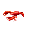 Crawfish Gifts