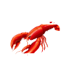 Crawfish Gifts