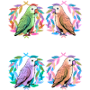 Oiseaux exotiques Oiseau Perroquet Perroquets