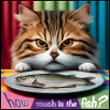 Combien coûte le chat poisson