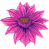 handgezeichnete Fantasie-Blume in neonpink