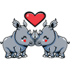 Rhino Couple Saint-Valentin