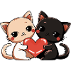 Chat Couple Saint-Valentin