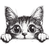 Katze