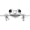 Frosch