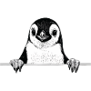 Pinguin