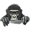 Gorilla