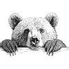 Eisbär