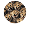Gepard