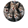 Maine Coon