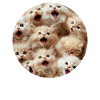 Persisch