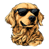 Golden Retriever with Sunglasses