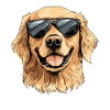 Golden Retriever with Sunglasses