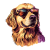 Golden Retriever with Sunglasses