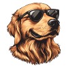 Golden Retriever with Sunglasses