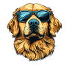 Golden Retriever with Sunglasses