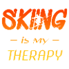 ski - skiing