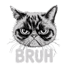 Cat says "Bruh"