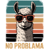 Pas de lama Problama