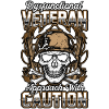 Dysfunctional Veteran