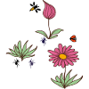 Plant Bud Flower