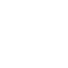 stop the coup
