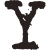 Y