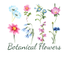 Aquarelle Fleurs Botaniques Illustration Aquarelle
