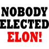 nobody elected elon