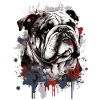 Bouledogue anglais