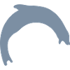 sealion logo