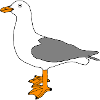 Seagull - Seagull