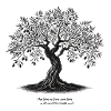 Olive tree