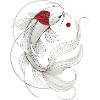 Elegant Koi Fish Illustration