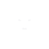Wolf in geometric figures