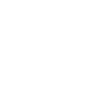 Wall lizard