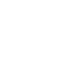 Wall lizard