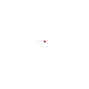 heartbeat pigeons